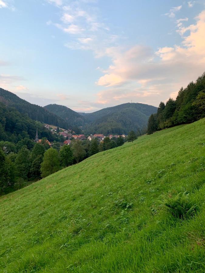 Gemuetliches Apartment Mit Kamin Und Wohnkueche Herzberg am Harz Luaran gambar
